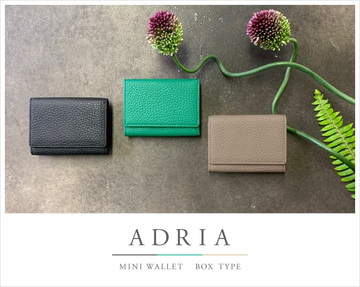 極小財布 BOX型 イタリアンレザー/ADRIA 牛革