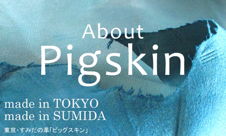 ピッグスキン(豚革)について
